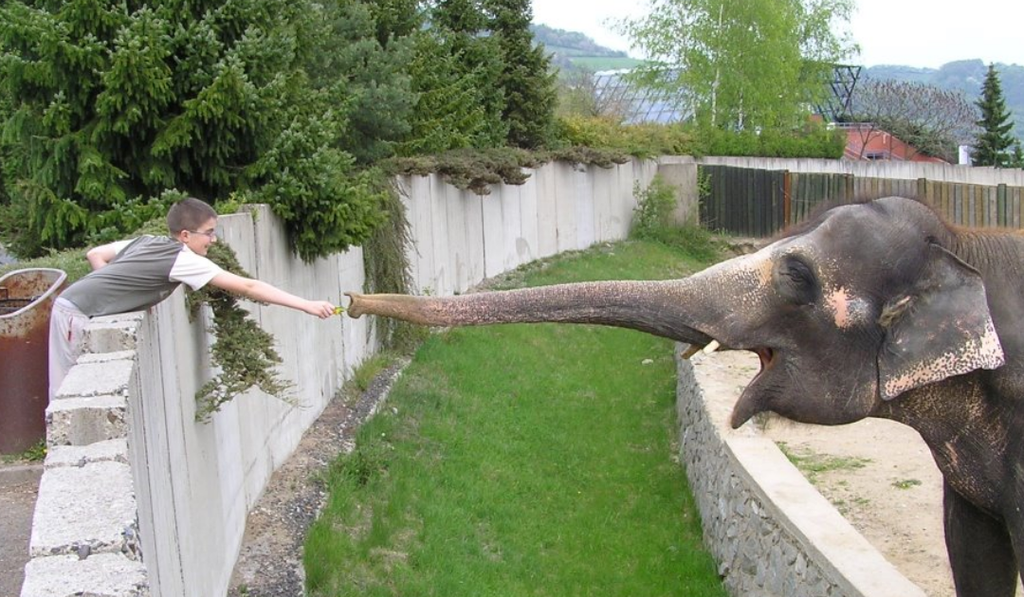 ZOO Ústí